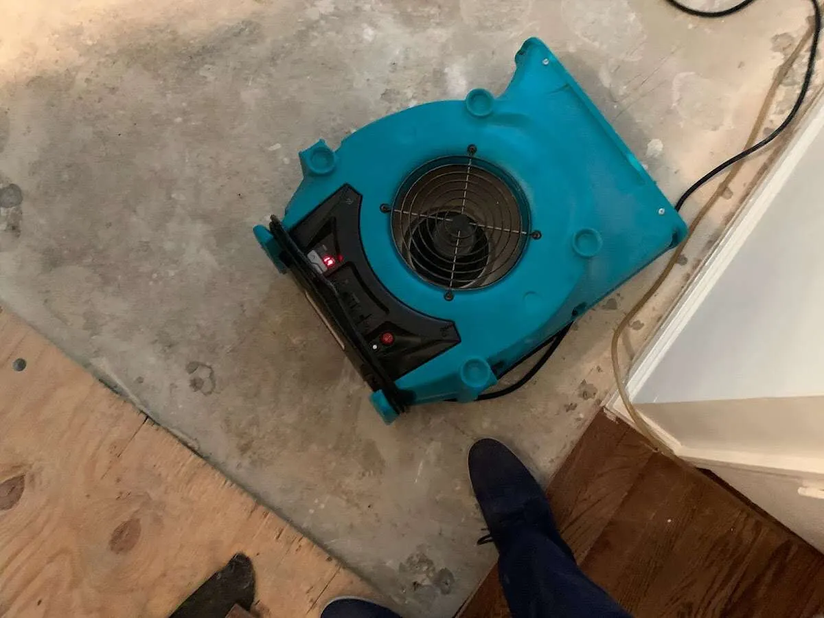 Air mover drying subfloor during Leak Detection & Repair in Allegany